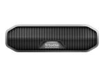 SanDisk Professional - Festplatte - Enterprise - 4 TB - extern (Stationär)
