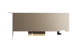 NVIDIA A2 - GPU-Rechenprozessor - NVIDIA A2 Tensor Core