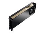 NVIDIA RTX A6000 - Grafikkarten - RTX A6000 - 48 GB GDDR6