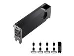 PNY NVIDIA RTX A2000 - Grafikkarten - RTX A2000 - 6 GB GDDR6