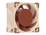 Noctua NF-A4x20 5V - Gehäuselüfter - 40 mm