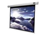 celexon Economy Manual Screen - Leinwand - Deckenmontage möglich, geeignet für Wandmontage - 250 cm (98")