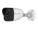 Digital Data Communications LevelOne GEMINI series FCS-5201 - Netzwerk-Überwachungskamera - Außenbereich, In