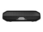 SanDisk Professional - Festplatte - Enterprise - 22 TB - extern (Stationär)